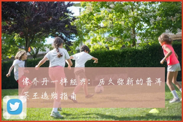 像乔丹一样经典：历久弥新的普洱茶王选购指南