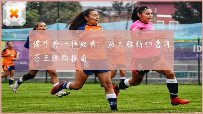 像乔丹一样经典：历久弥新的普洱茶王选购指南